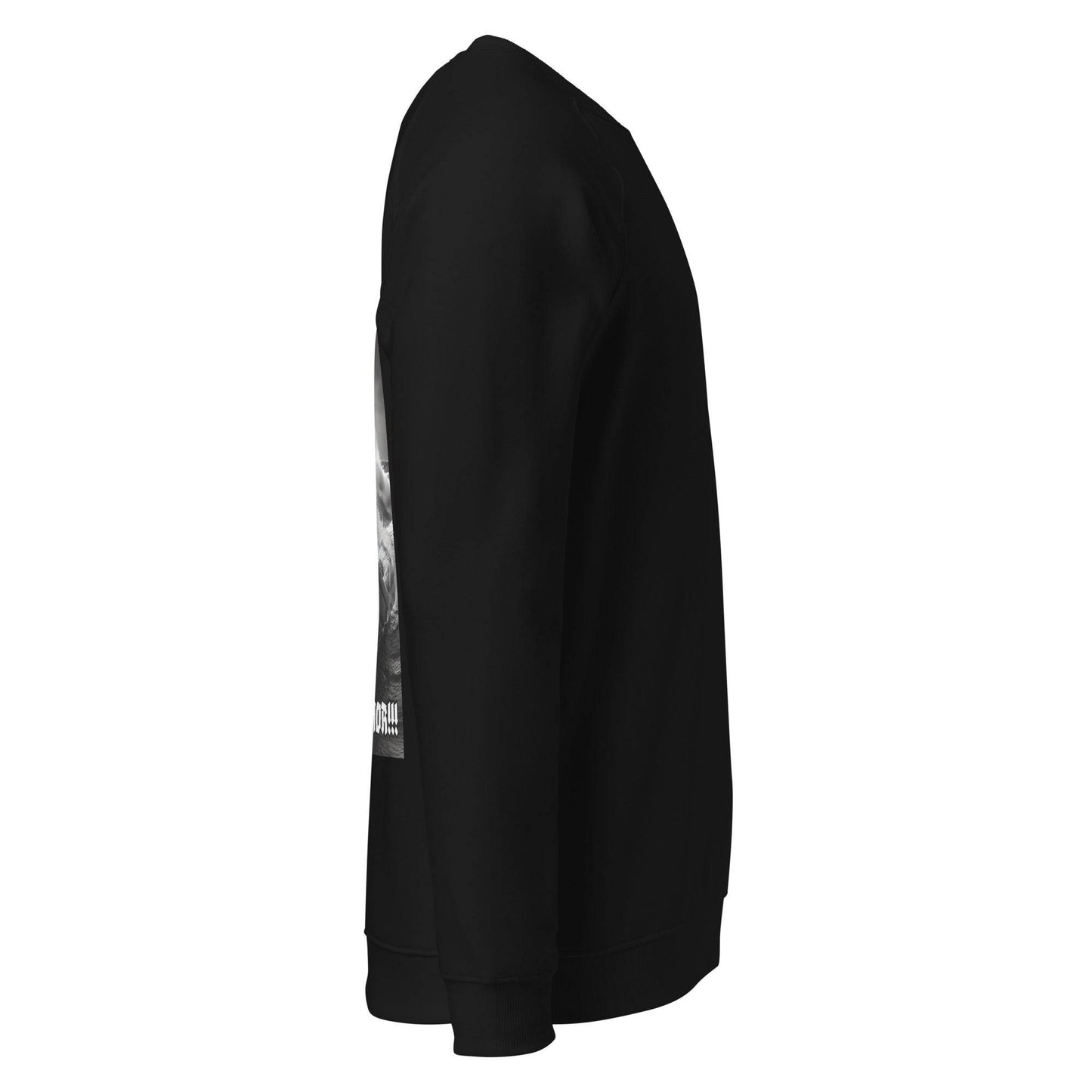 Unisex organic 100% cotton raglan sweatshirt Design #12 - Monk&Nun UnisexClothing