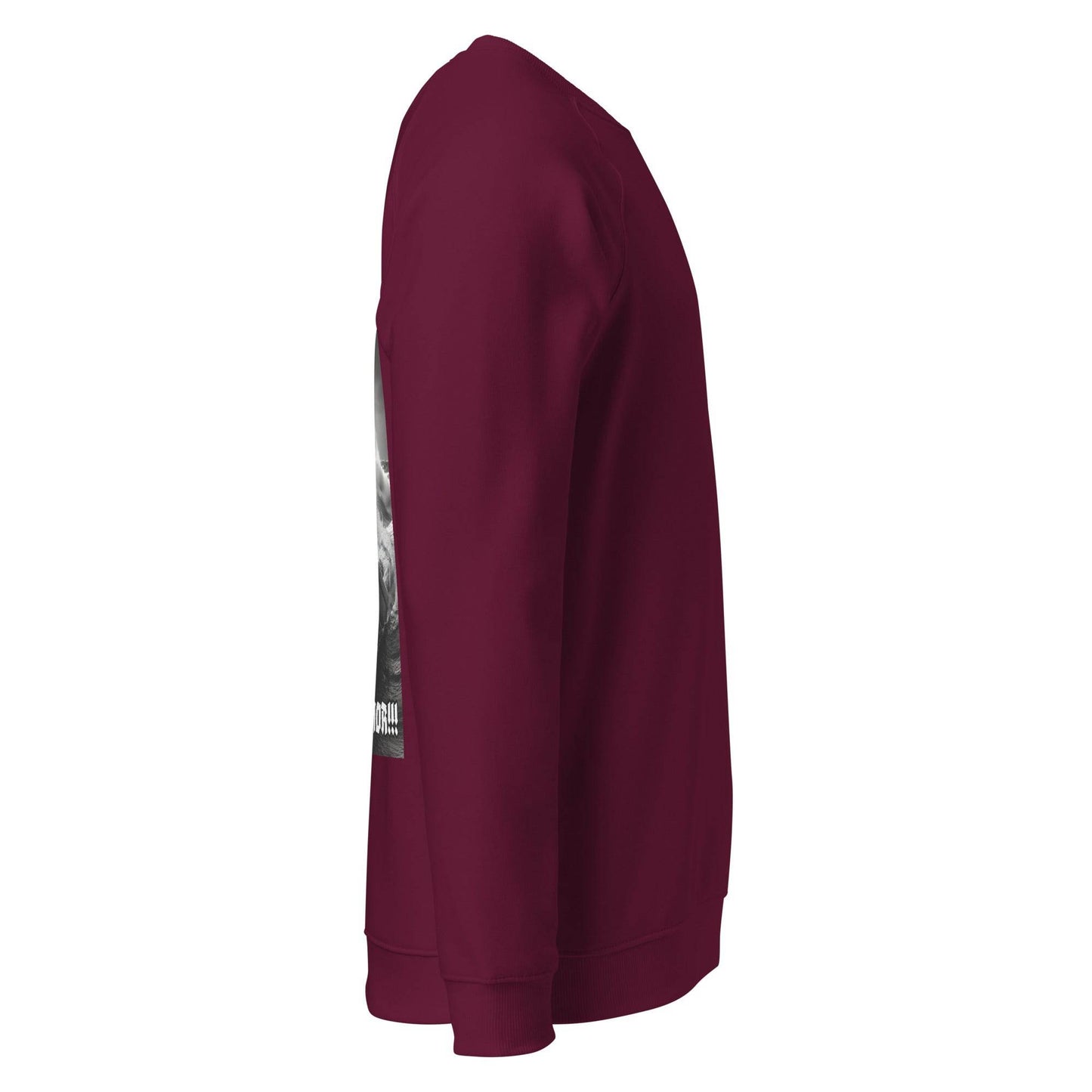 Unisex organic 100% cotton raglan sweatshirt Design #12 - Monk&Nun UnisexClothing