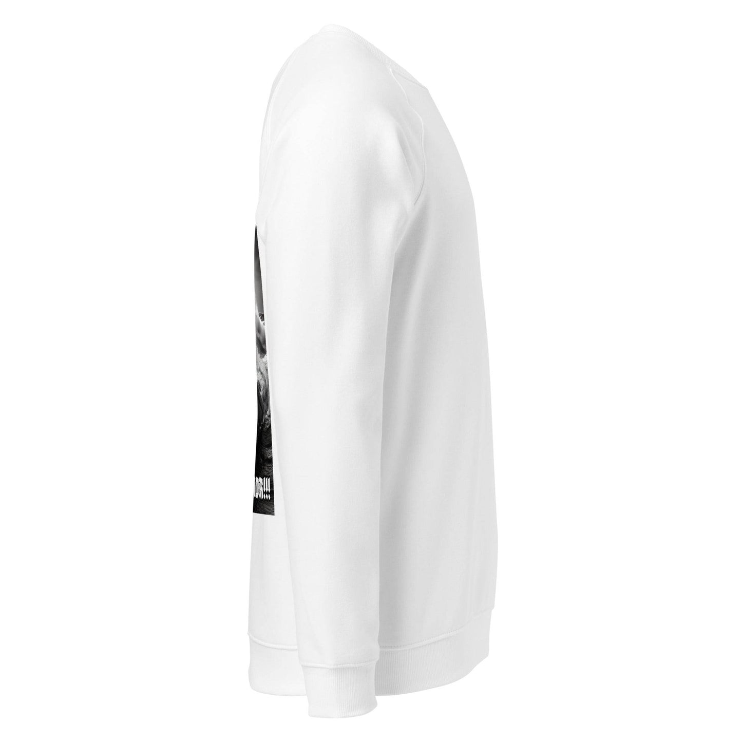 Unisex organic 100% cotton raglan sweatshirt Design #12 - Monk&Nun UnisexClothing