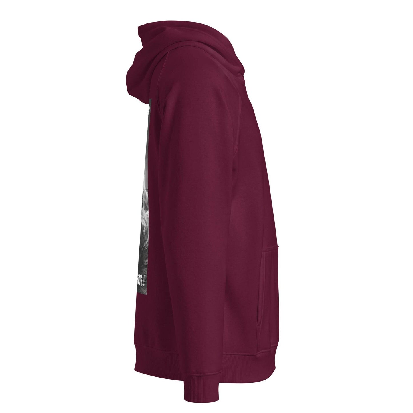 Unisex eco 100% organic cotton Warriors Hoodie Design #12 - Monk&Nun UnisexClothing
