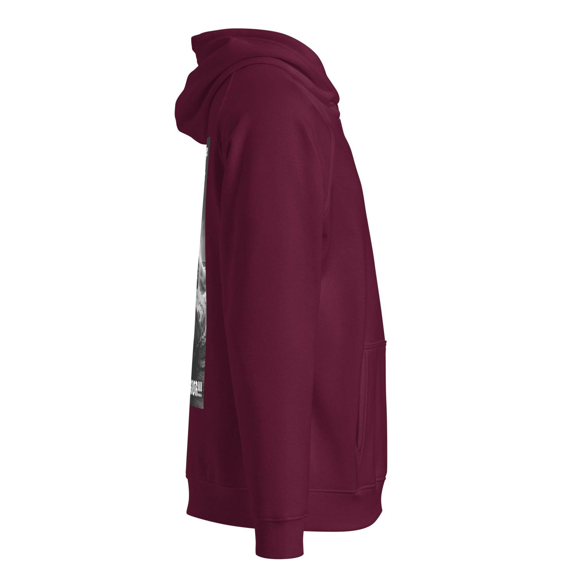 Unisex eco 100% organic cotton Warriors Hoodie Design #12 - Monk&Nun UnisexClothing